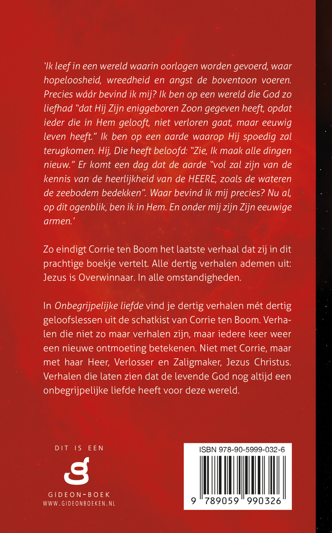 Onbegrijpelijke liefde achterkant