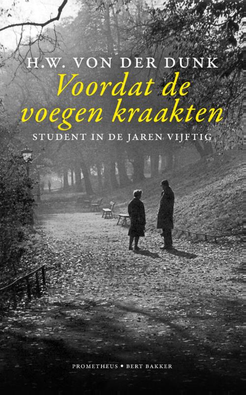 H.W. von der Dunk Voordat De Voegen Kraakten