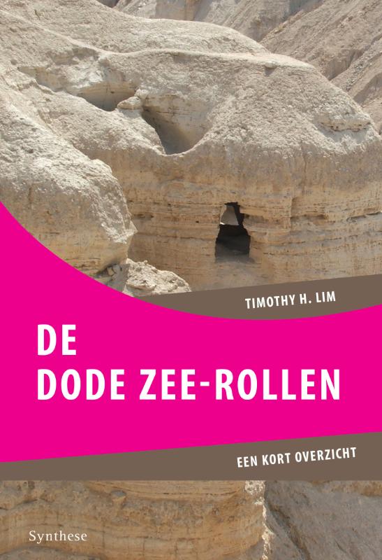 boekenbalie_9789062710881_cover De Dode Zeerollen / Een kort overzicht
