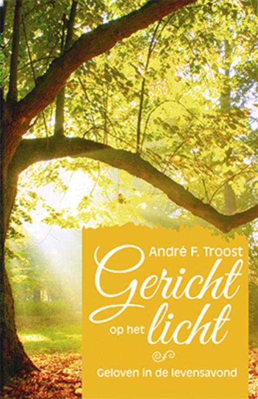 André F. Troost Gericht Op Het Licht thumbnail