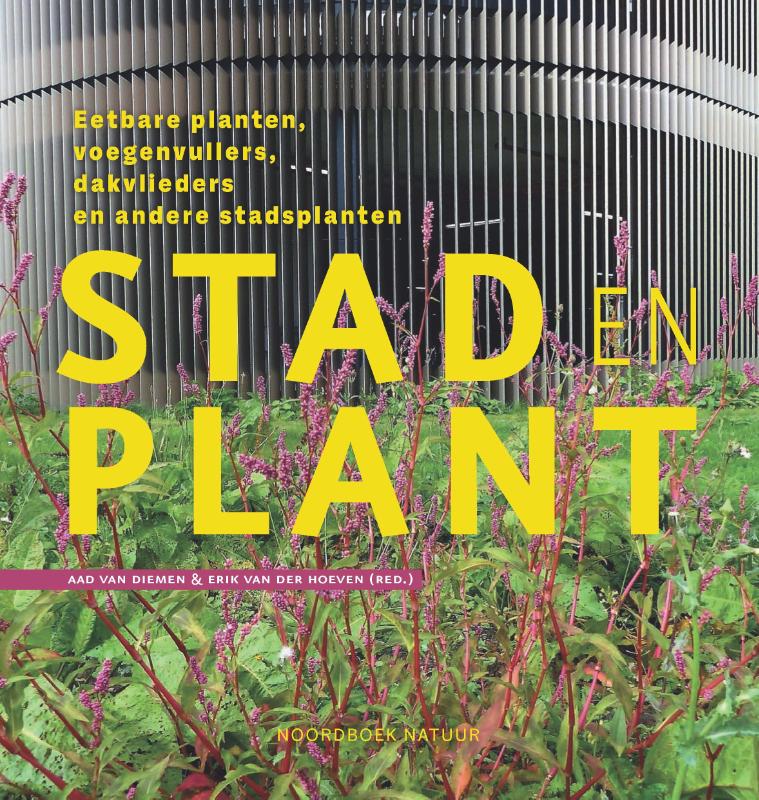 Stad en plant