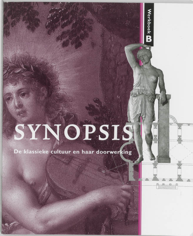 Synopsis B Werkboek