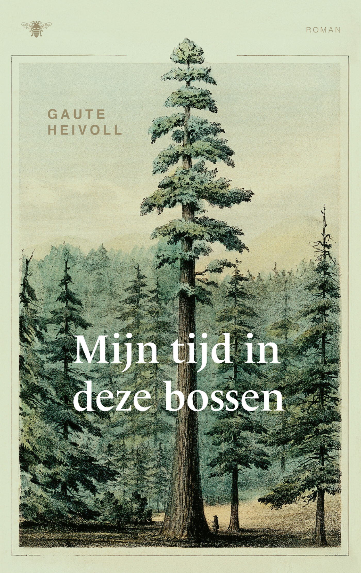 Gaute Heivoll Mijn Tijd In Deze Bossen