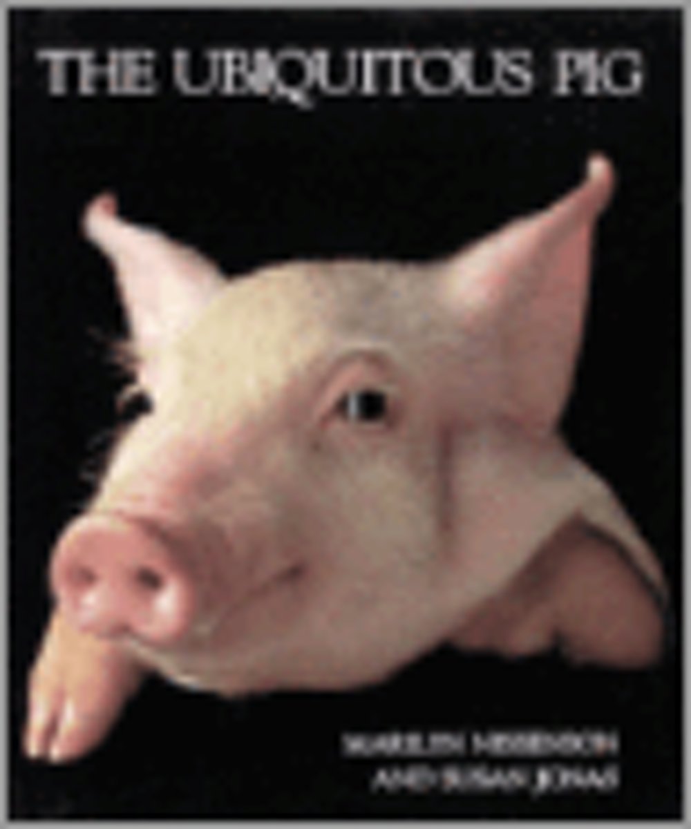 The Ubiquitous Pig