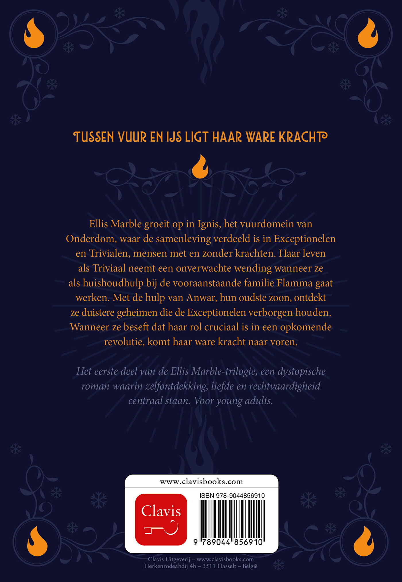 De bevroren vlammenzee achterkant