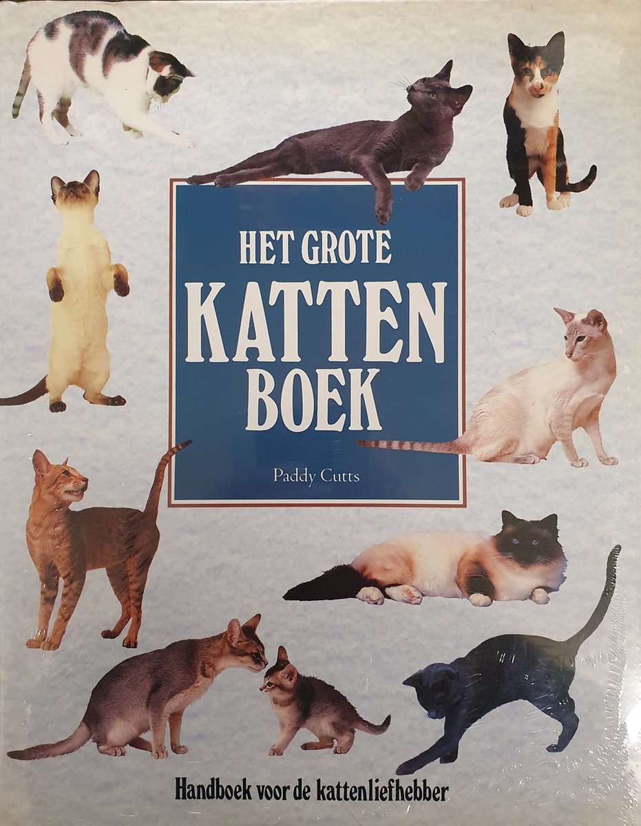 Het grote kattenboek