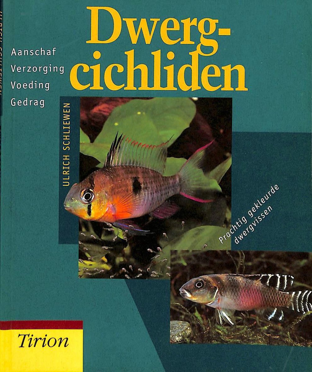 DWERGCICHLIDEN