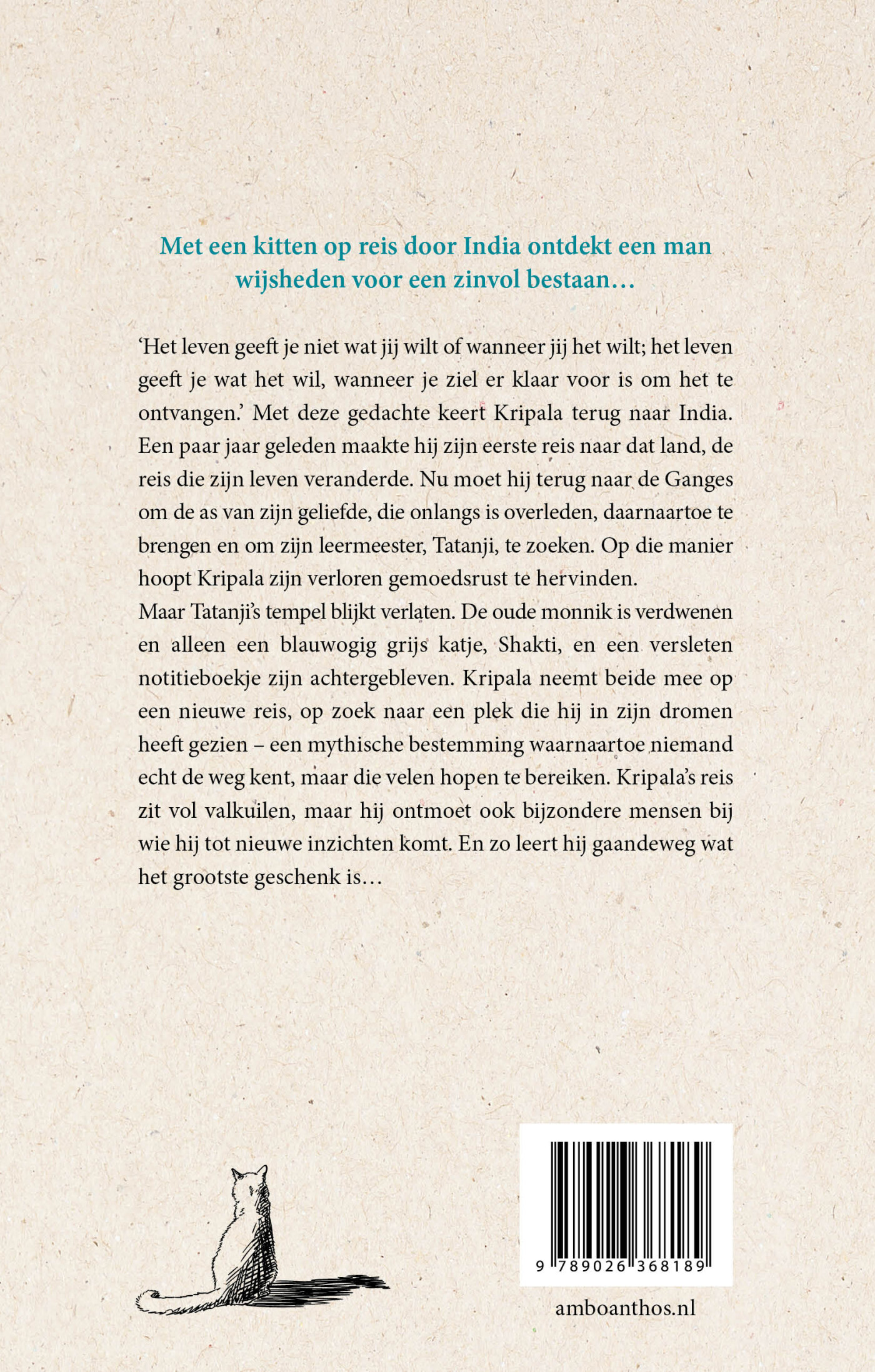 De grijze kitten en de monnik achterkant