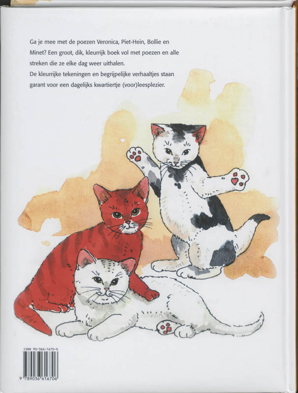 365 Poezenstreken achterkant