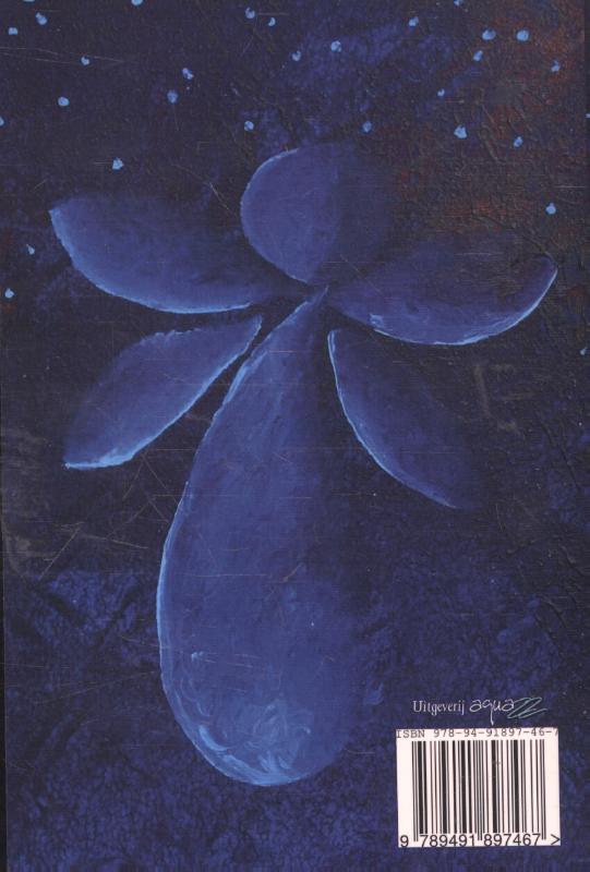 Kusje uit de hemel achterkant