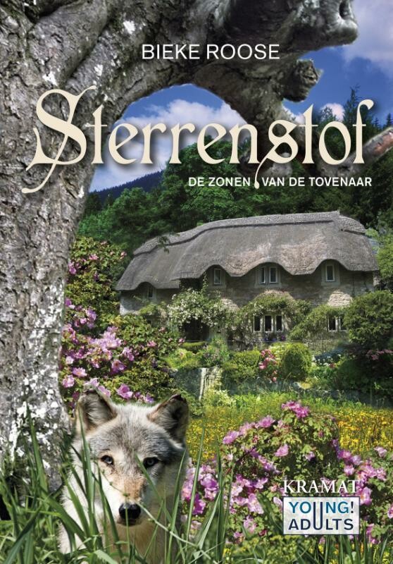 Bieke Roose De Zonen Van De Tovenaar / Sterrenstof / 3