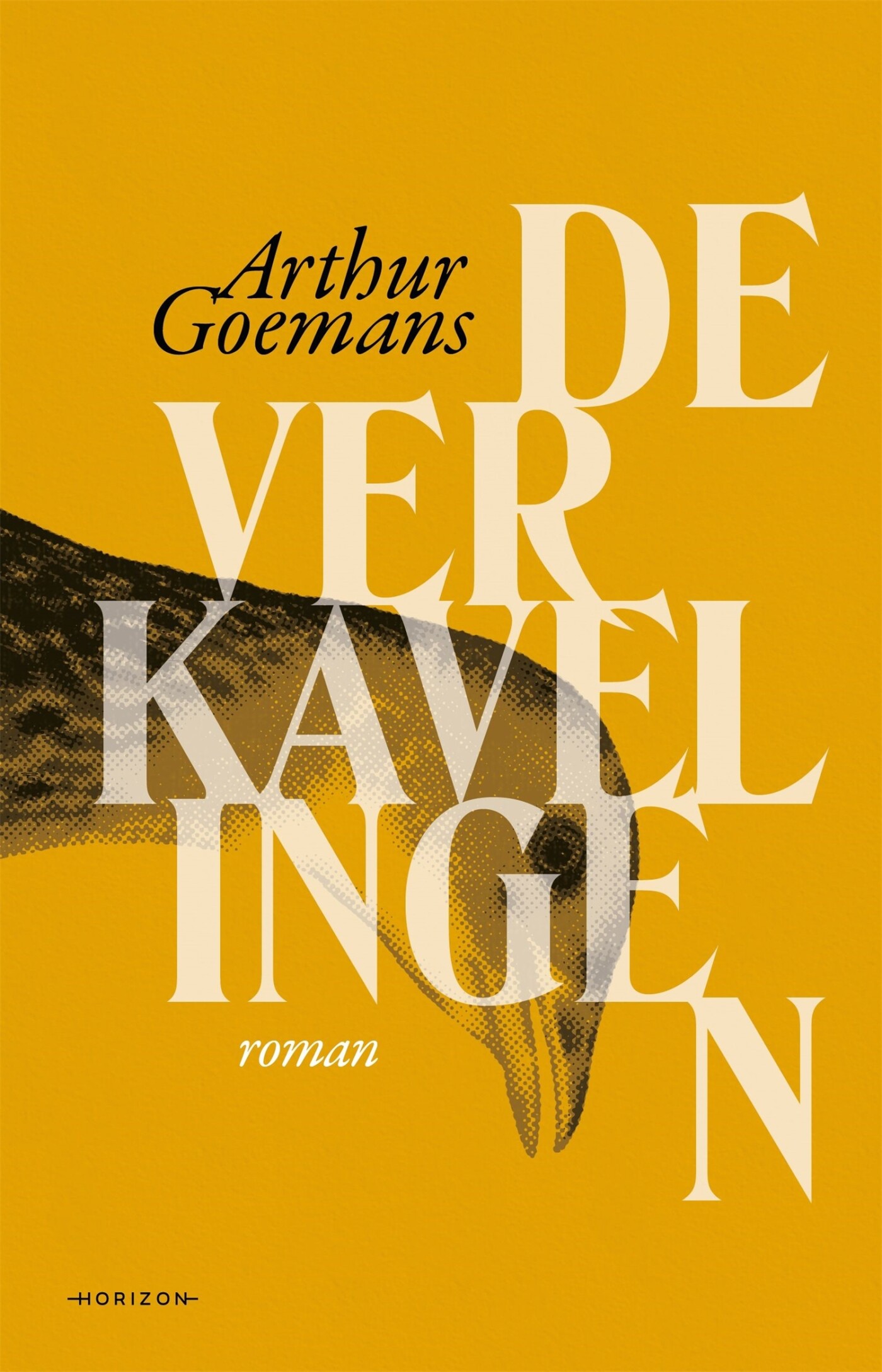 boekenbalie_9789464105186_cover De verkavelingen