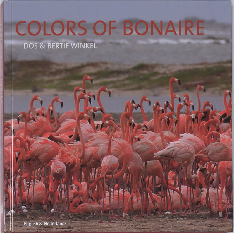 Colors Of Bonaire
