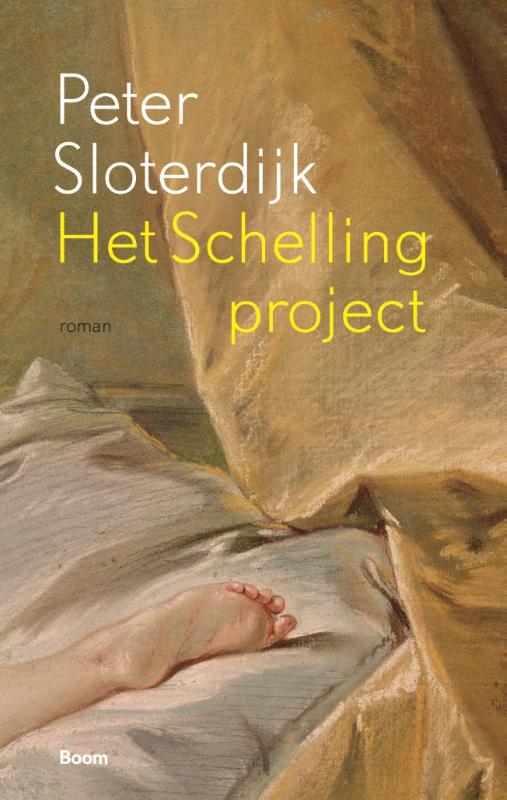 boekenbalie_9789024406654_cover Het Schelling-project