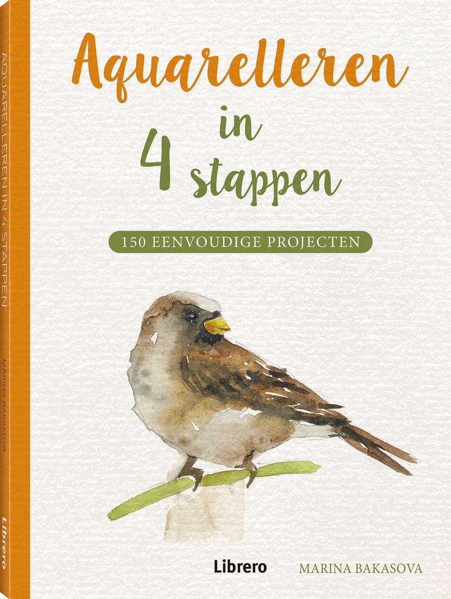 Marina Bakasova Aquarelleren In 4 Stappen