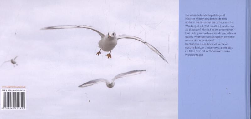 De wadden achterkant