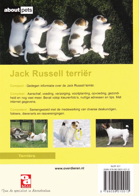 Over Dieren - De Jack Russell terrier achterkant