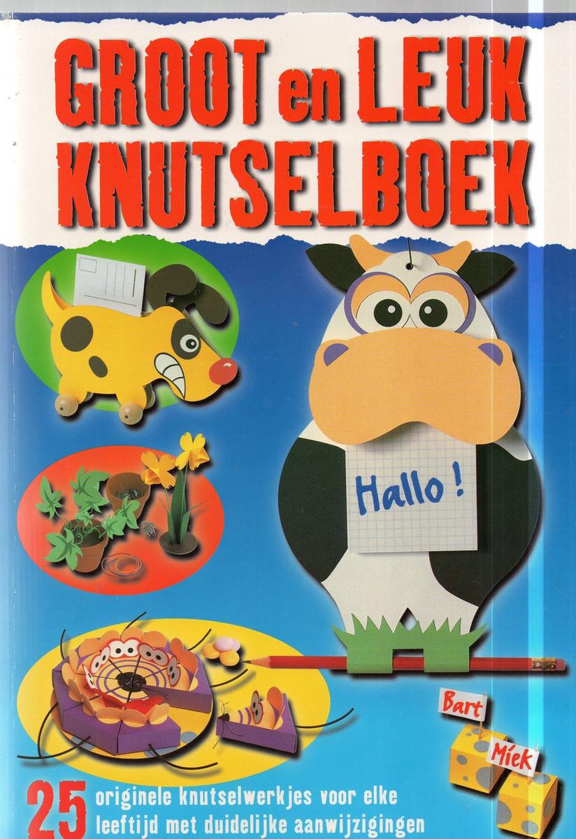 Groot en Leuk Knutselboek