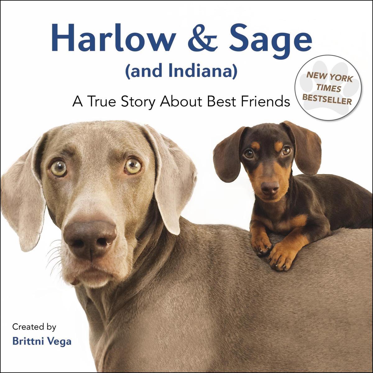 Harlow & Sage (And Indiana)