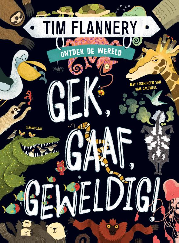 boekenbalie_9789047712244_cover Gek, gaaf, geweldig! / Ontdek de wereld