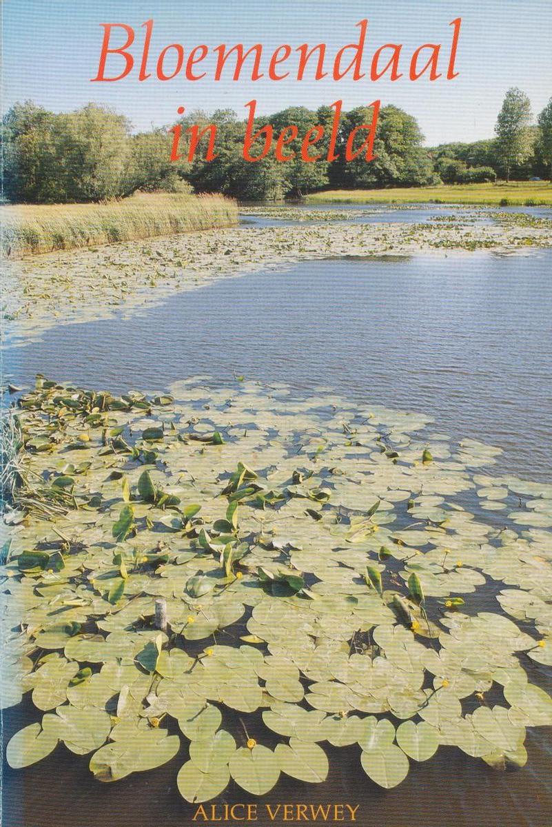boekenbalie_9789080022713_cover Bloemendaal in beeld