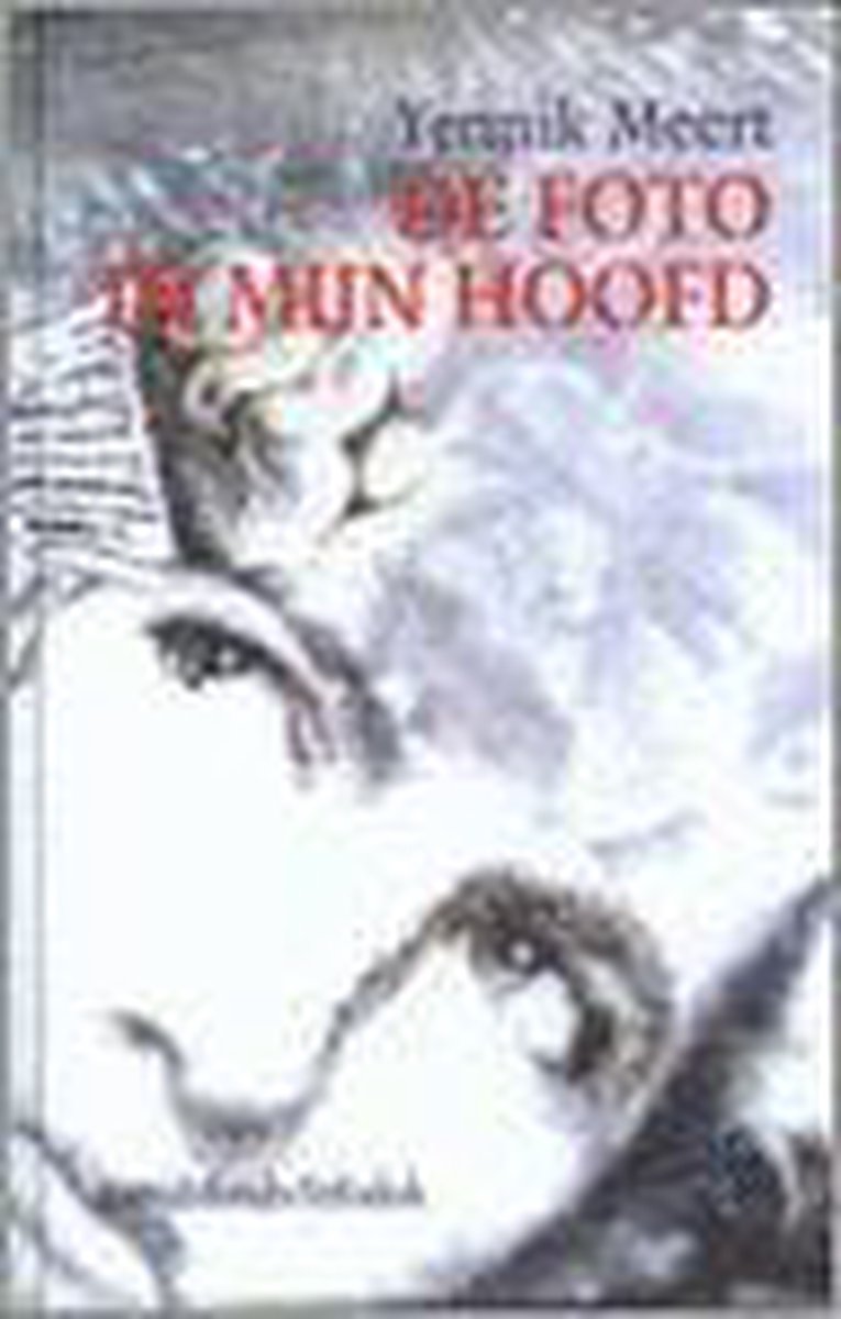 boekenbalie_9789065659385_cover De foto in mijn hoofd