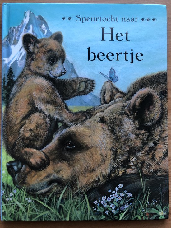 Het beertje