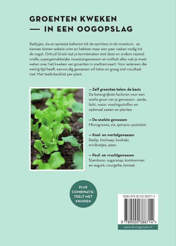 Mijn snelle moestuin achterkant