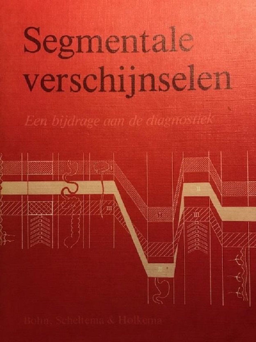 boekenbalie_9789031306985_cover Segmentale verschijnselen
