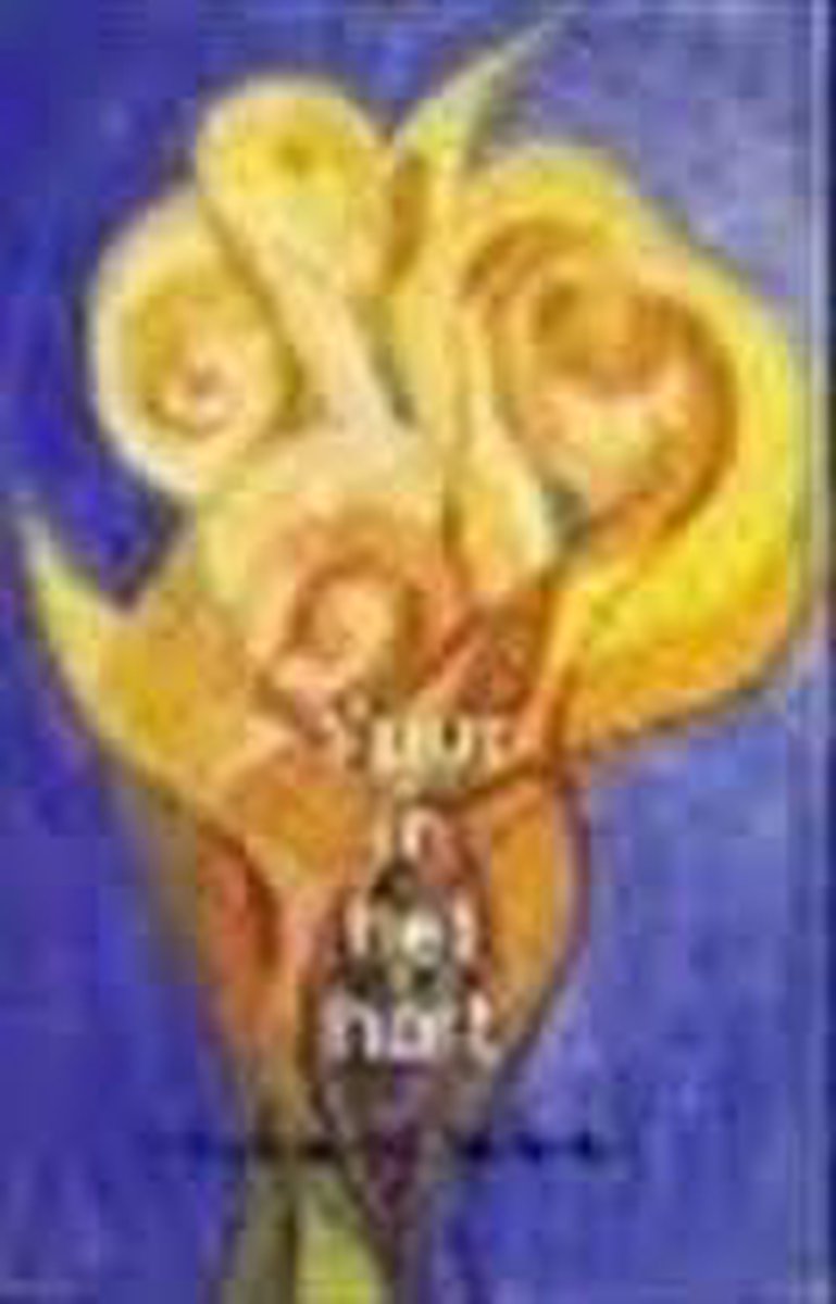 boekenbalie_9789020280586_cover Vuur in het hart