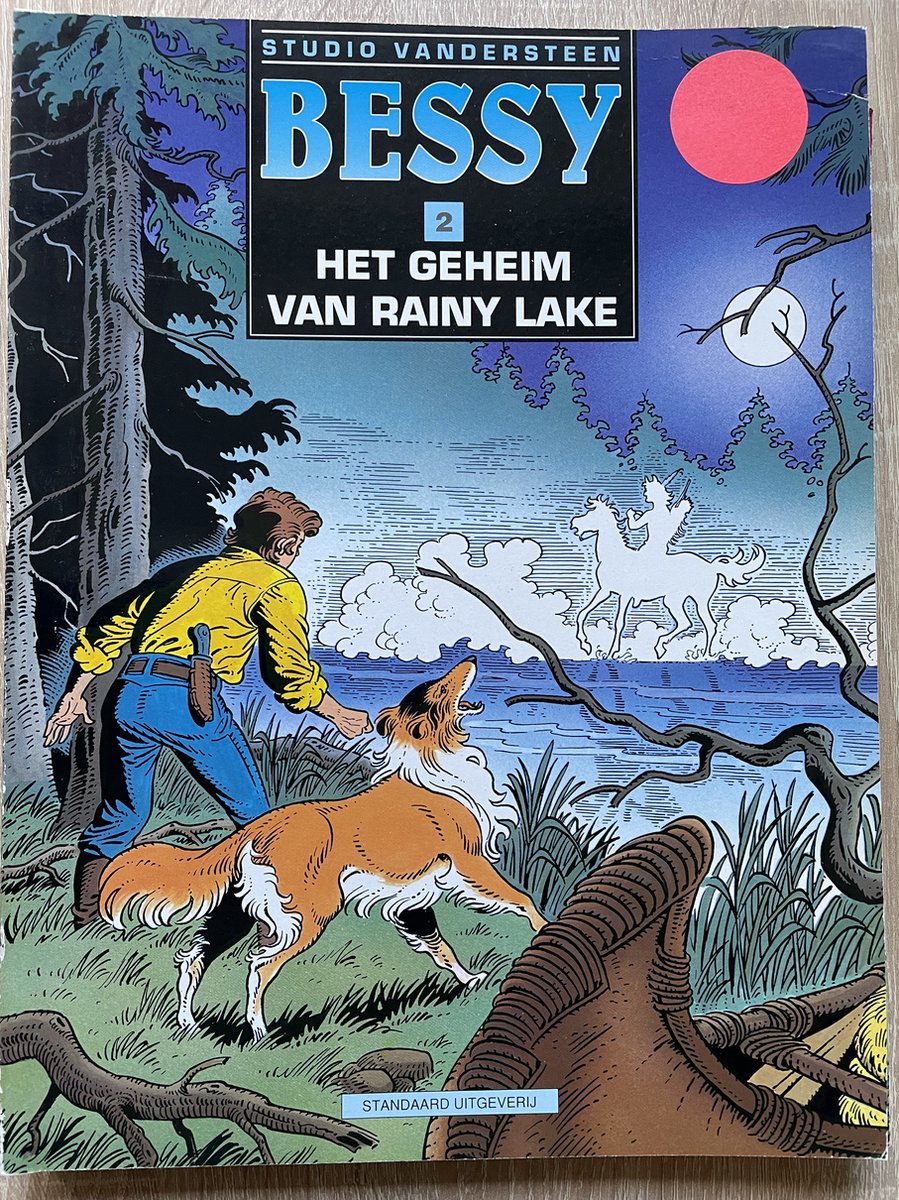 Geheim van rainy lake / De avonturen van Bessy / 2