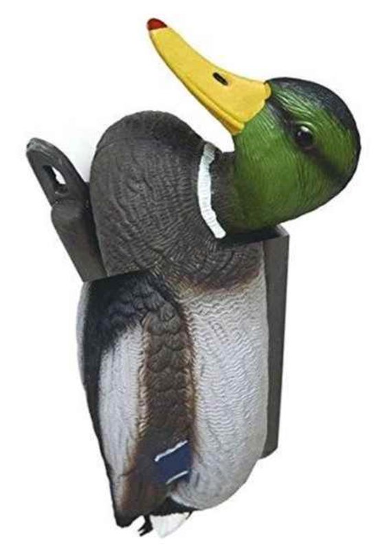 boekenbalie_9783037349465_cover No New Kind of Duck