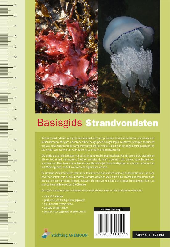 Basisgids Strandvondsten achterkant