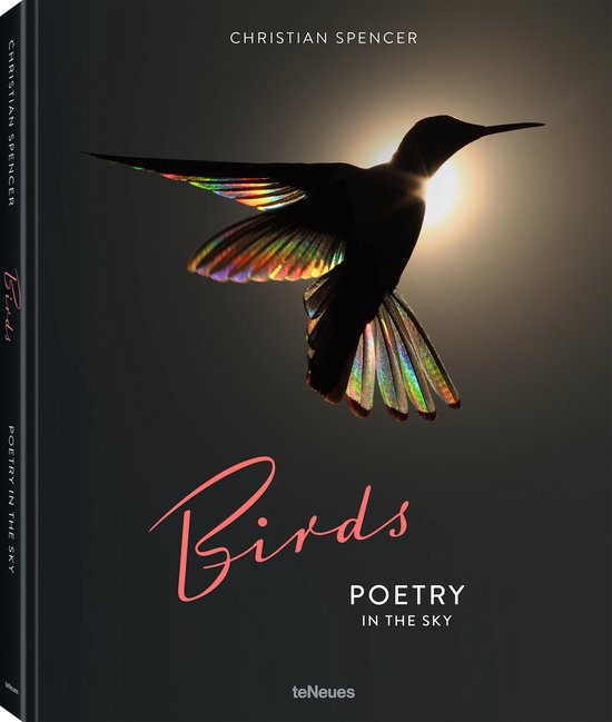 Spencer Birds thumbnail