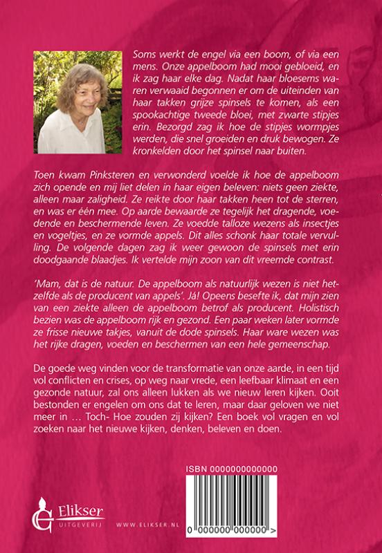 De vrouw die Engelen maakte achterkant