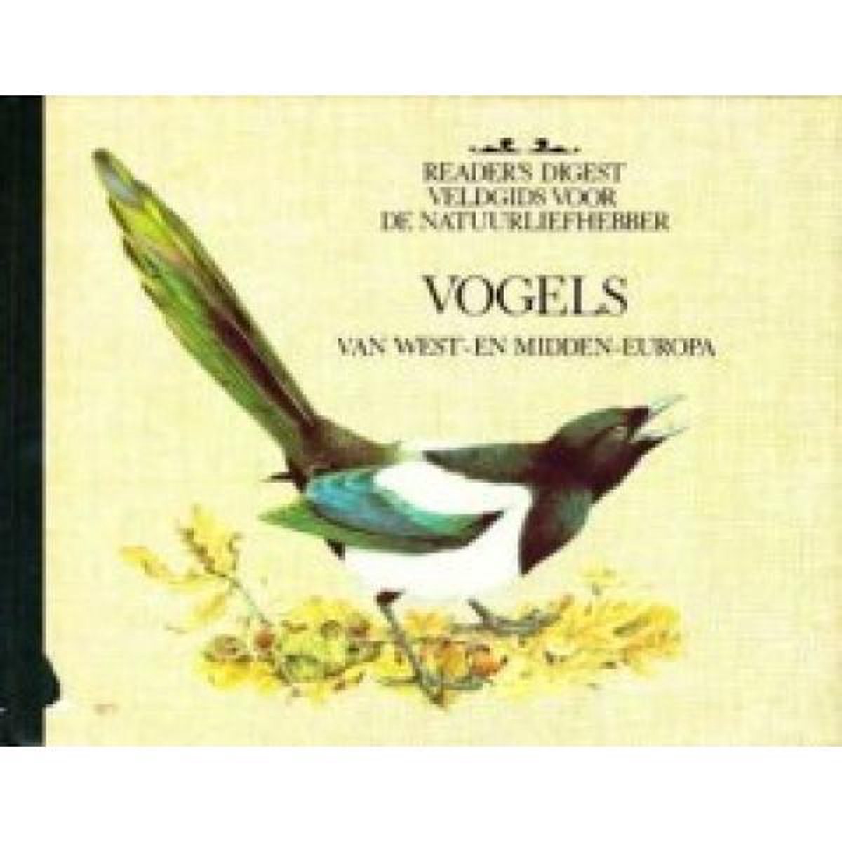 boekenbalie_9789064070730_cover Vogels Veldgids Natuurliefhebber