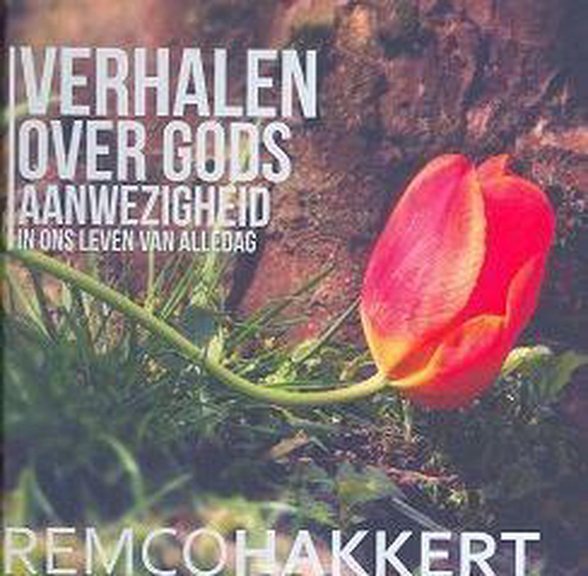 Verhalen over Gods aanwezigheid