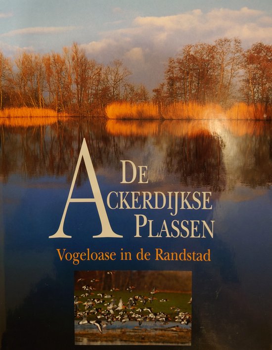 ACKERDIJKSE PLASSEN VOGELOASE IN RANDSTA