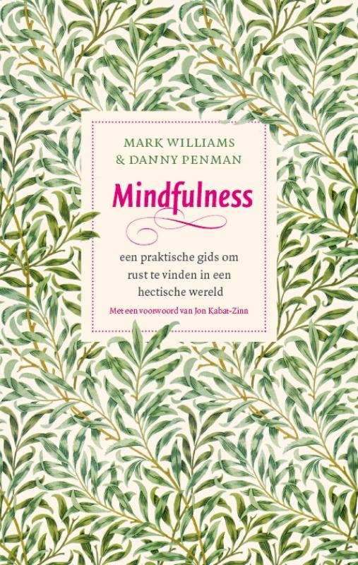 Mark Williams Mindfulness thumbnail