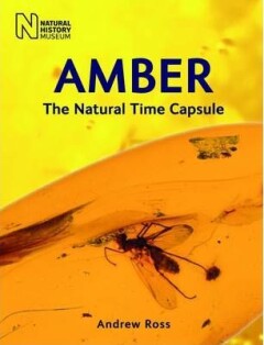 Amber: The Natural Time Capsule