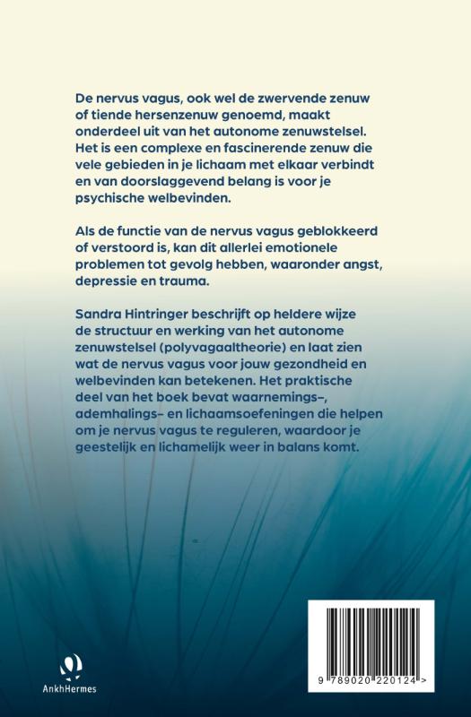 De nervus vagus achterkant