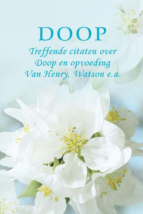 Doop / Pareltje