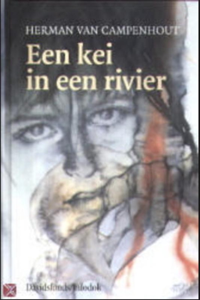 Een kei in een rivier