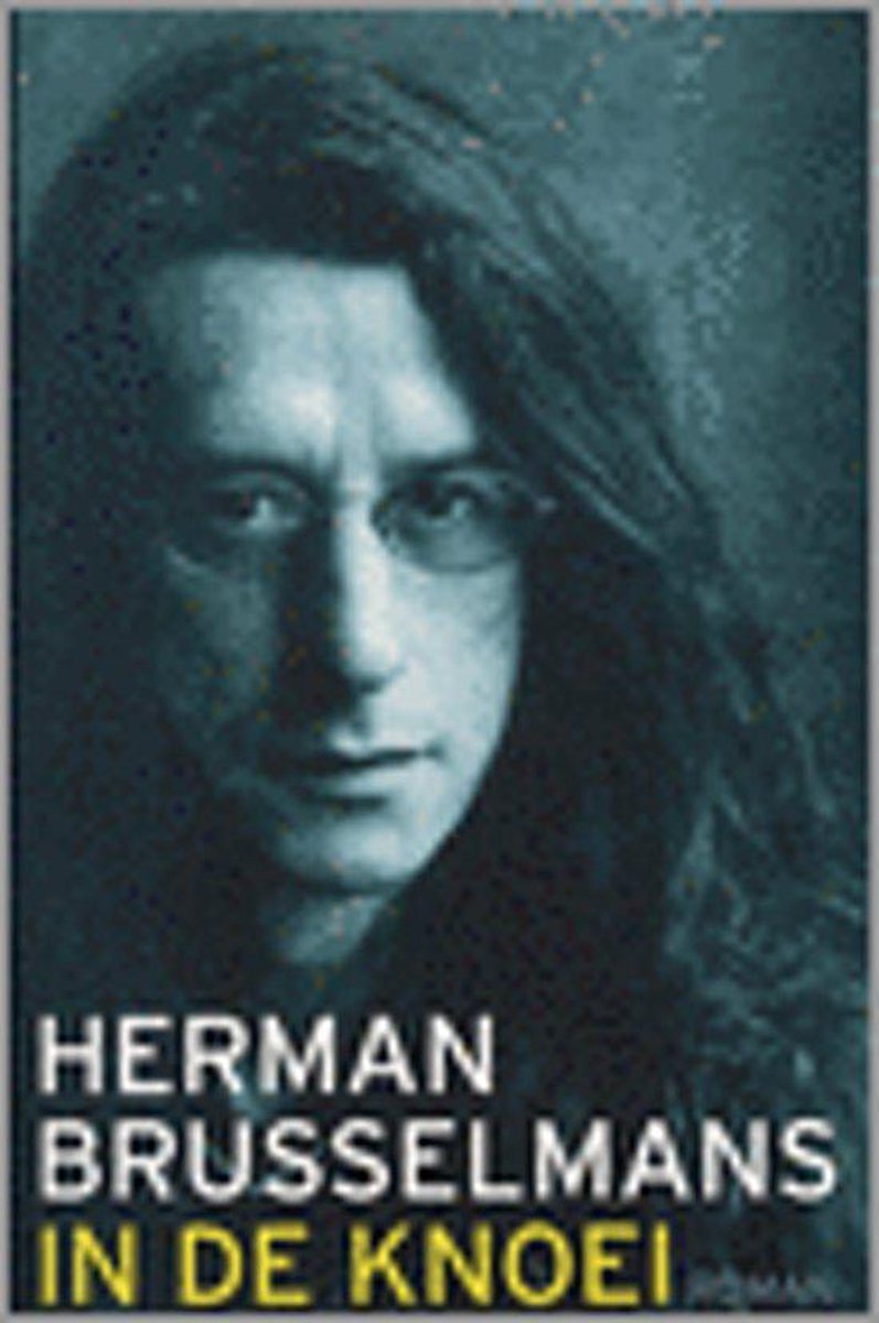 Herman Brusselmans In De Knoei thumbnail