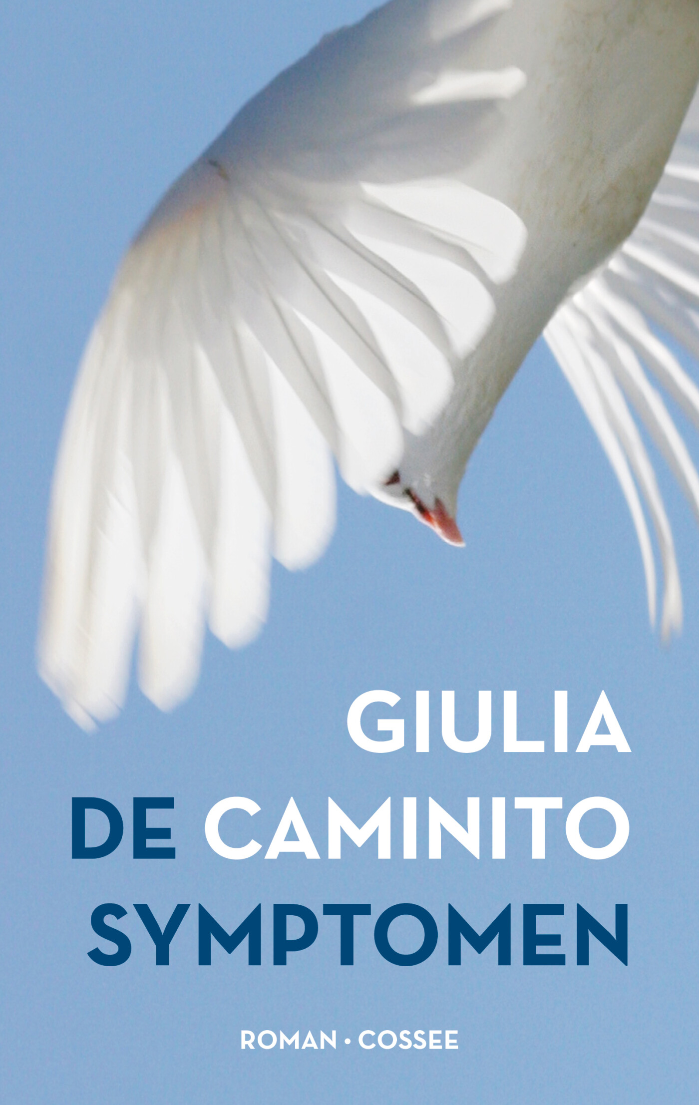 Giulia Caminito De Symptomen