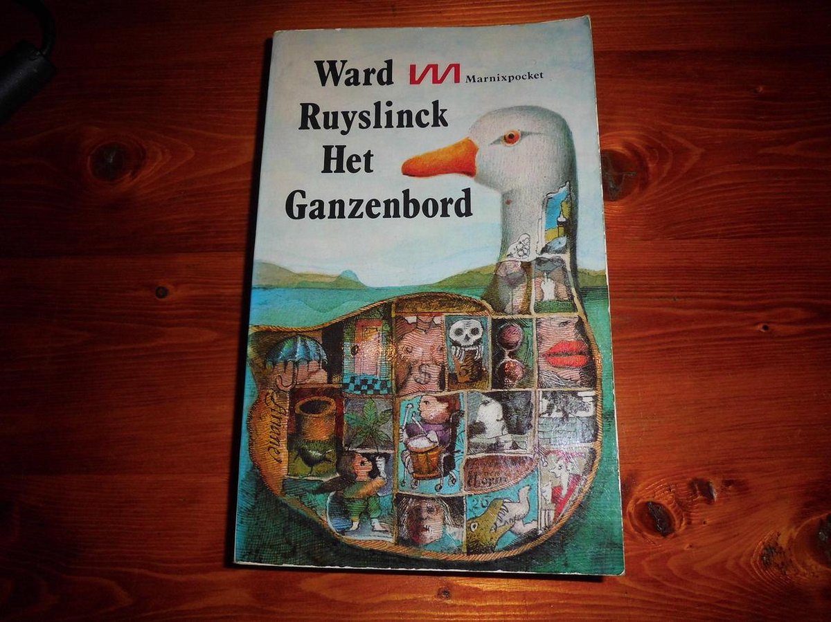 boekenbalie_9789022304341_cover Het ganzenbord