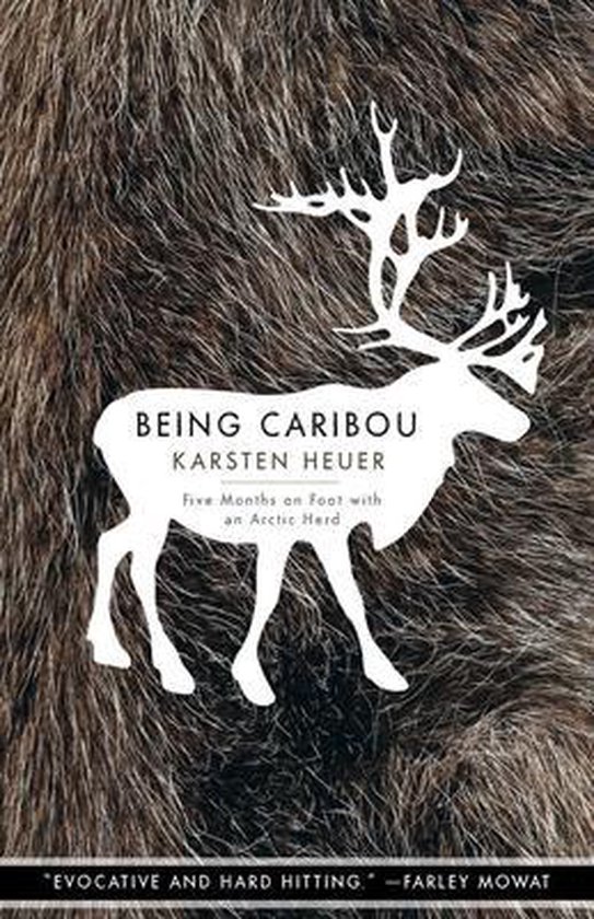Being Caribou