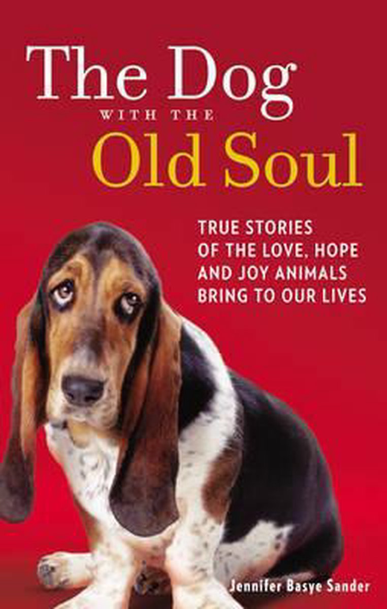 Dog With The Old Soul