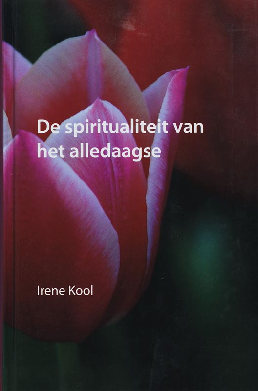 boekenbalie_9789043512664_cover De spiritualiteit van het alledaagse