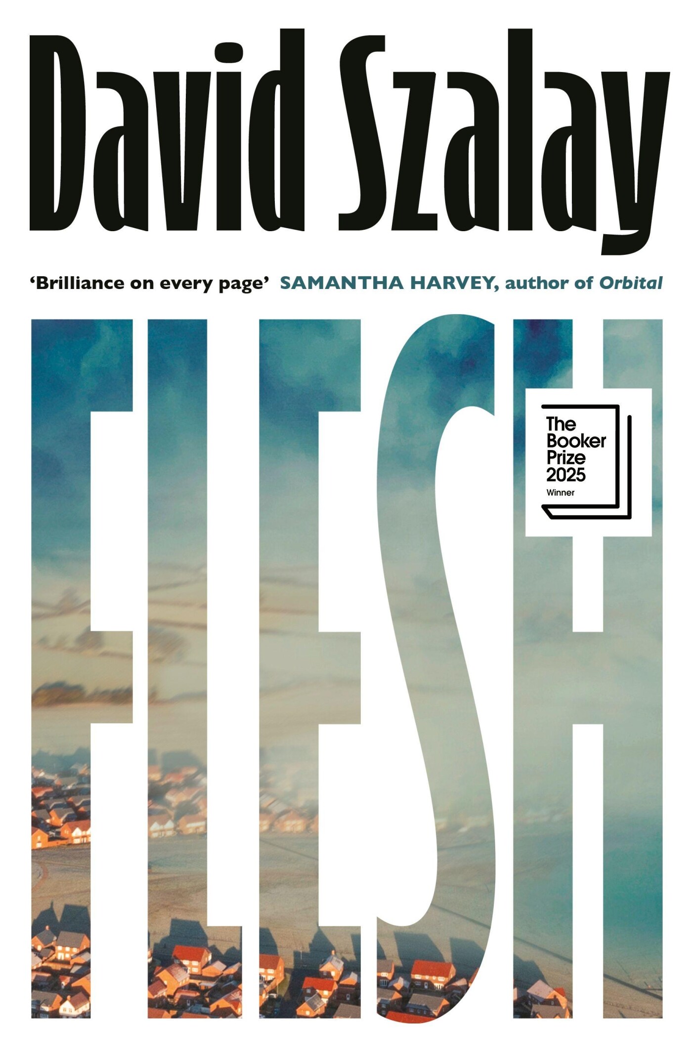 David Szalay Flesh thumbnail